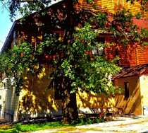 Гостиница Элиза (Партизанский) - Бузулук, Бузулукский район, Партизанский поселок, Школьная улица, 10Б