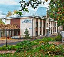 Гостиница Мечта Парк-Отель - Зеленый Шум, 1