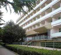 Гостиница Ясная Поляна - Ясная Поляна, Ясная Поляна отель