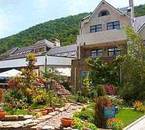 Гостиница Оазис - Архипо-Осиповка, Гоголя улица, 13